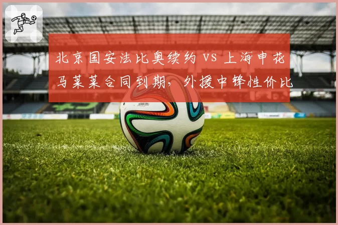 北京国安法比奥续约 vs 上海申花马莱莱合同到期,外援中锋性价比对比