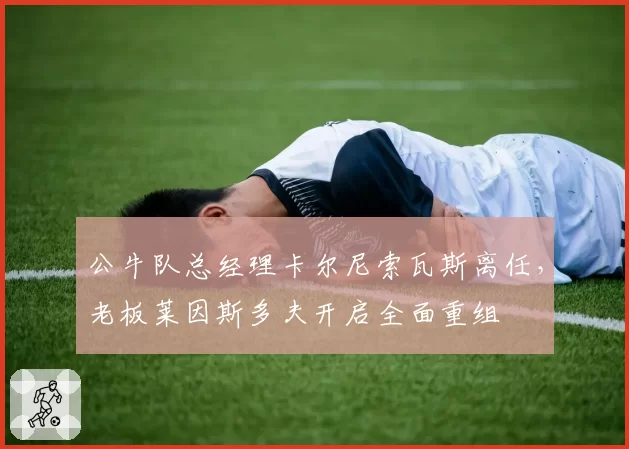 公牛队总经理卡尔尼索瓦斯离任,老板莱因斯多夫开启全面重组