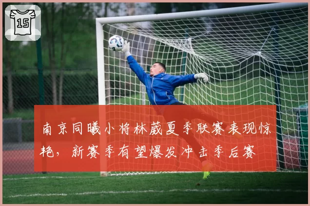 南京同曦小将林葳夏季联赛表现惊艳，新赛季有望爆发冲击季后赛