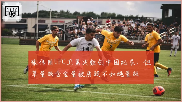 张伟丽UFC卫冕次数创中国纪录,但草量级含金量被质疑不如蝇量级